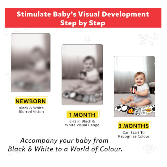 Little Berry High Contrast Flash Cards for Babies (0-18 Months) | 32 Black & White Cards