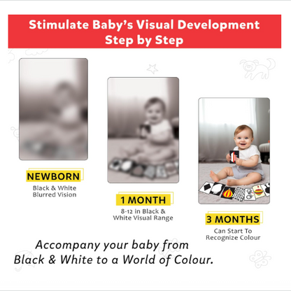 Little Berry High Contrast Flash Cards for Babies (0-18 Months) | 32 Black & White Cards